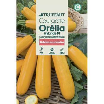 Graines de courgette Orelia Hybride F1 en sachet