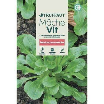 Graines de mâche Vit en sachet