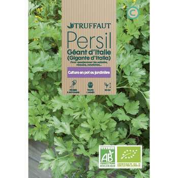 Graines de persil géant d'Italie Bio en sachet