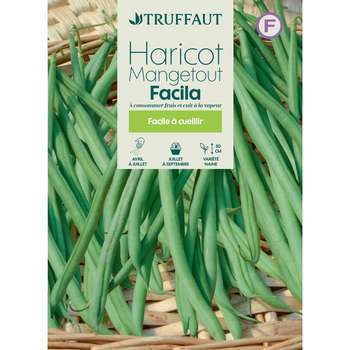 Graines de haricot nain Facila en boite