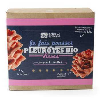 Kit pleurotes bio roses