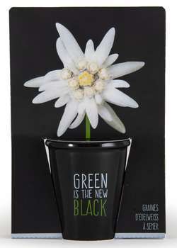 Kit de plantation black Edelweiss
