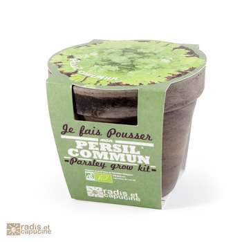 Pot persil Bio en terre cuite