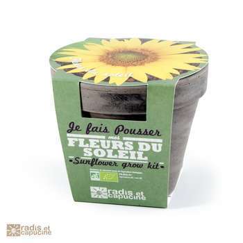 Pot terre cuite basalte graines de tournesol