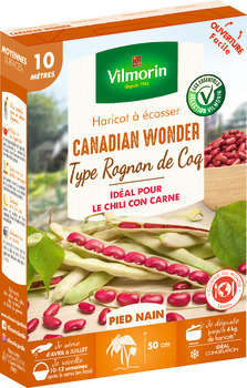 Graines de haricot nain à Ecosser Canadian Wonder