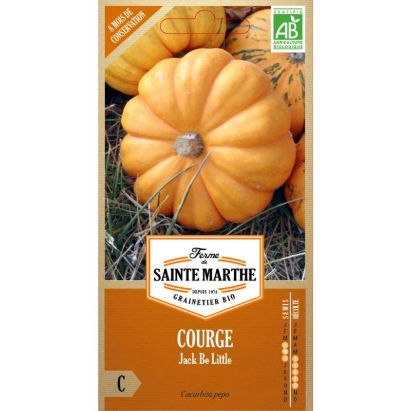 Graines de Courgette Jack be Little