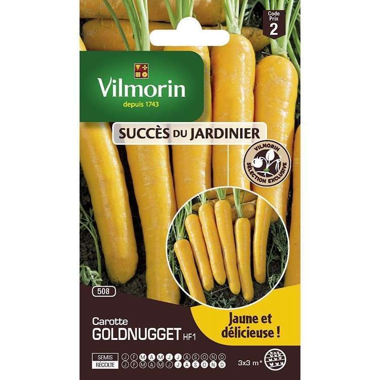 Graines de Carotte Goldnugget HF1