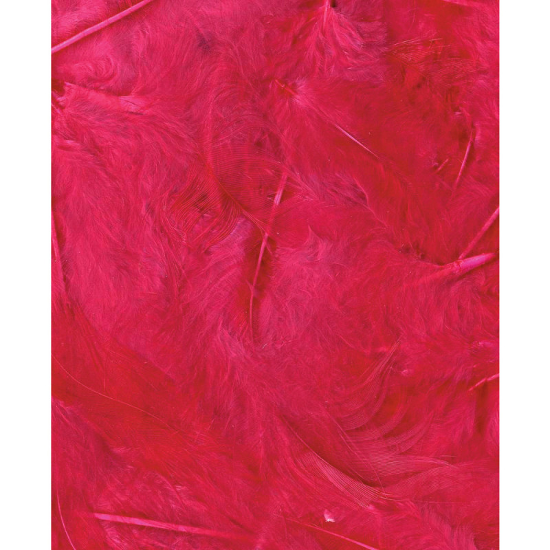 Plumes fuschia - 3g
