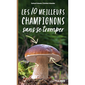 Les 11 meilleurs champignons sans se tromper