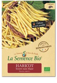 Graines potagères Haricot Beurre Nain Major Bio 75
