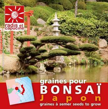 Sachet de graines de Pin pour cultiver son Bonsaï