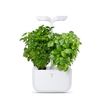 Potager d'intérieur 'Exky® Classic' - blanc