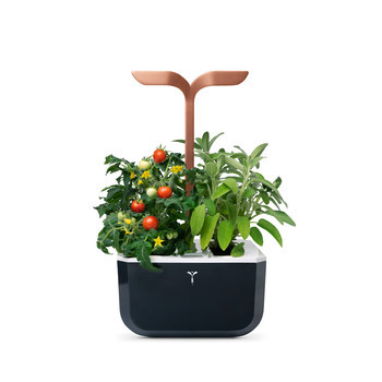 Potager d'intérieur 'Exky® Smart' - Copper