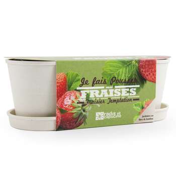 Jardinière en bambou graines de fraisiers