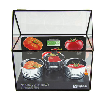 Chassis noir graines de tomate Bio