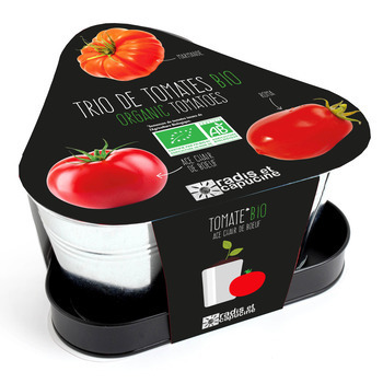 Kit 3 pots tomates anciennes Bio