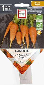 Graines de carotte de Colmar cur rouge Bio ruban