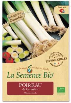 Graines potagères Poireau de Carentan Bio 1,3g