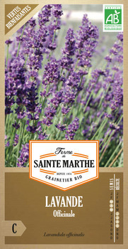 Graines de lavande officinale Bio en sachet