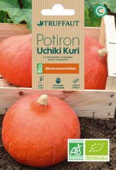 Graines de Potiron Uchiki Kuri BIO