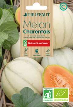 Graines de Melon Charentais BIO