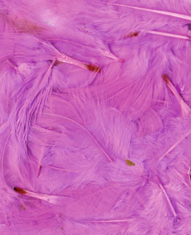 Plumes rose clair - 3g