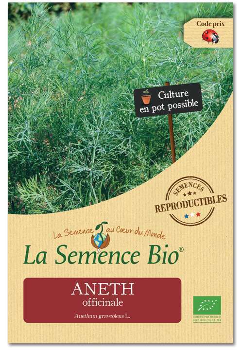 Graines potagères Aneth officinale Bio 0,4 g