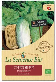 Graines potagères Chicorée Pain de Sucre Bio 0,2g