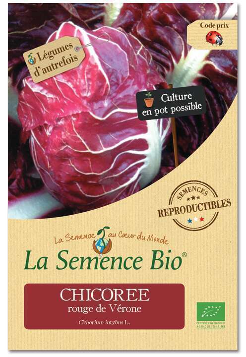 Graines potagères Chicorée Rouge de Vérone Bio 0,2