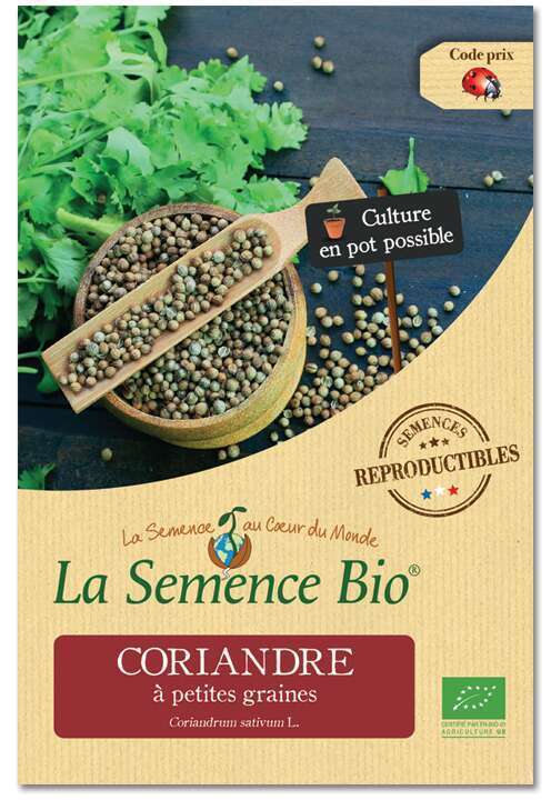 Graines potagères Coriandre à petites graines Bio