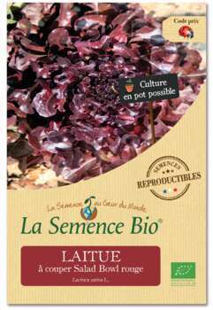 Graines potagères Laitue Salad Bowl Rouge Bio 0,4g