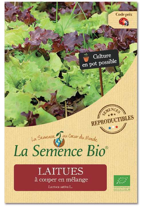 Graines potagères Laitue coupé en Mélange bio 3g