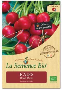 Graines potagères Radis Rond Raxe bio 2g