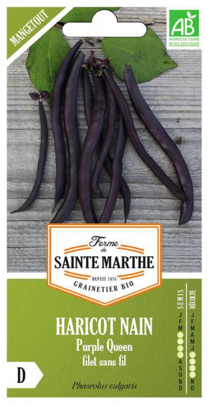 Graines de Haricot Nain Purple Queen Bio Boite 80