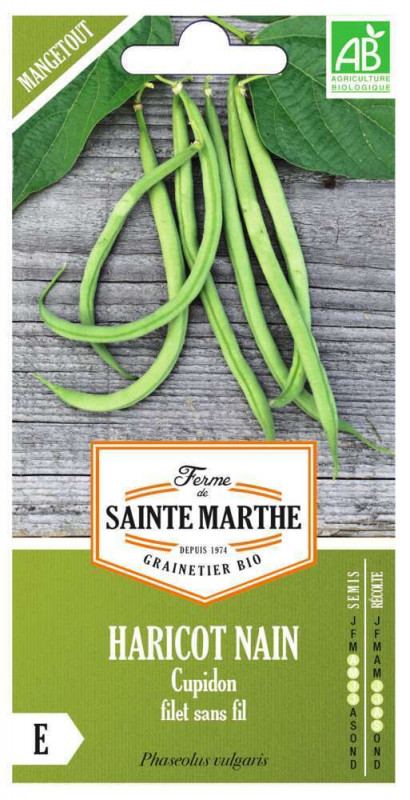 Graines de Haricot Nain Cupidon Sans Fil Bio Boite