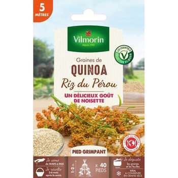 Graines de Quinoa 5 M