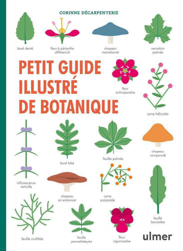 Livre Petit guide illustré de botanique