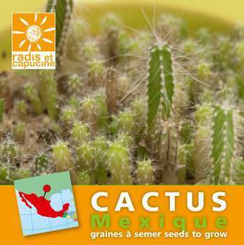 Sachet graines de cactus 0,25gr