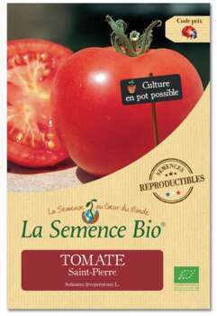 Graines potagères Tomate Saint-Pierre Bio