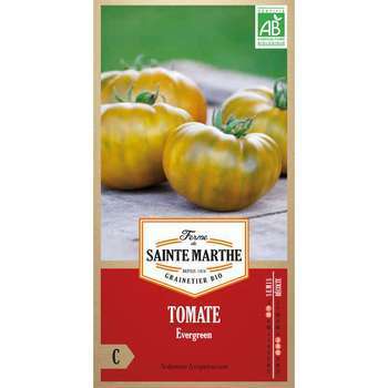 Tomate evergreen sachet 0,09 gr