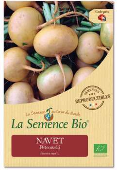 Graines potagères Navet Ptrowski Bio