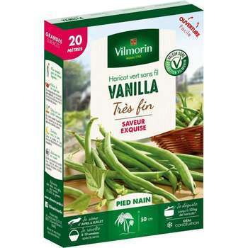 Haricot Nain Vert Vanilla 8