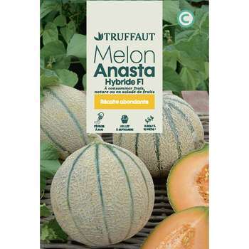 Melon anasta hf1 0,3 g