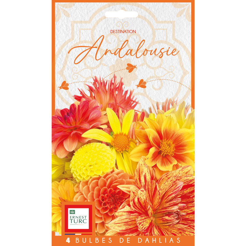Bulbe de Dahlia Voyage Andalousie x4
