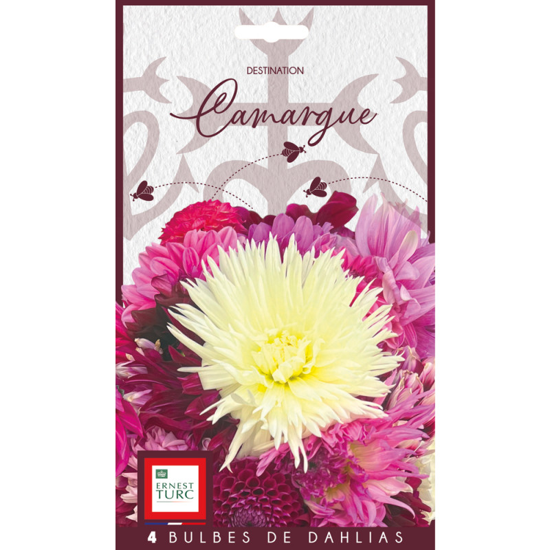 Bulbe de Dahlia Voyage Camargue x4