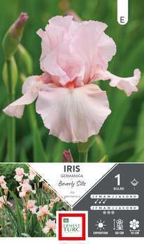 Iris germanica Beverly Sills