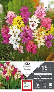 Ixias Variés 5/+ X15