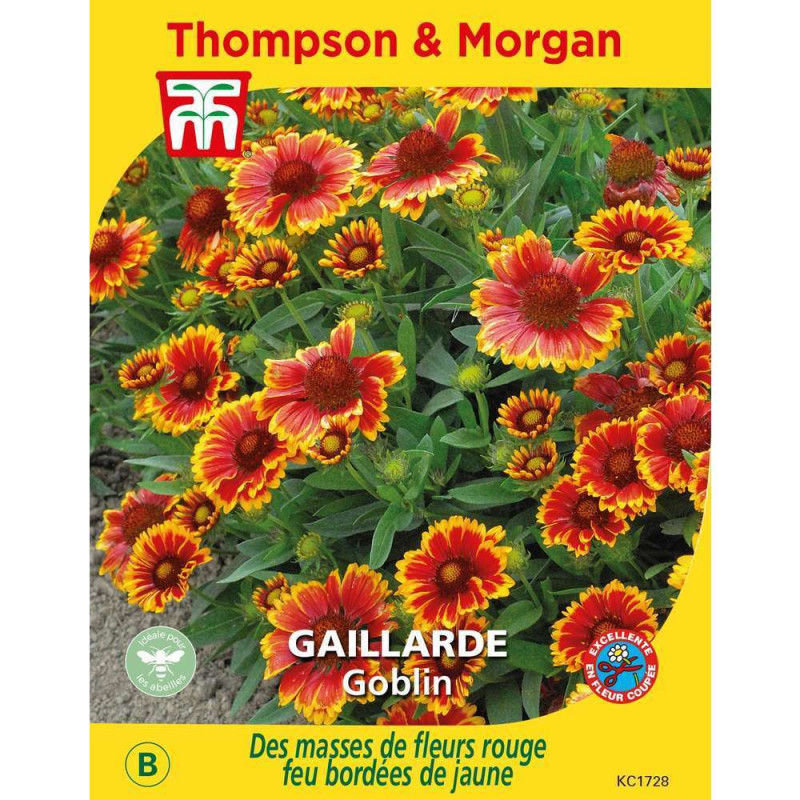 Graines de Gaillarde Goblin