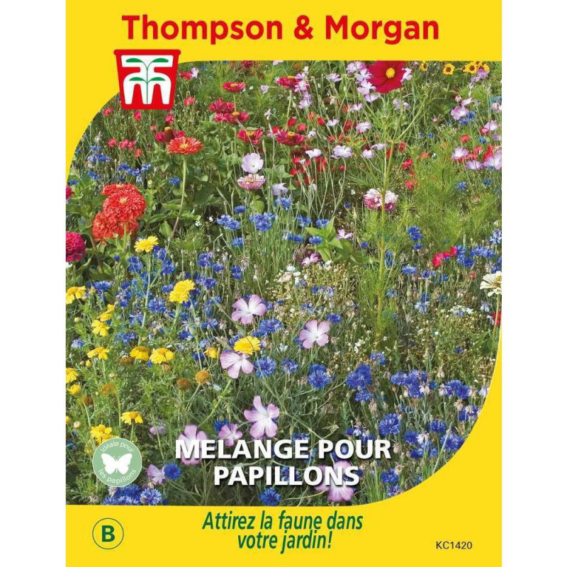 Graines de fleurs pour Papillons