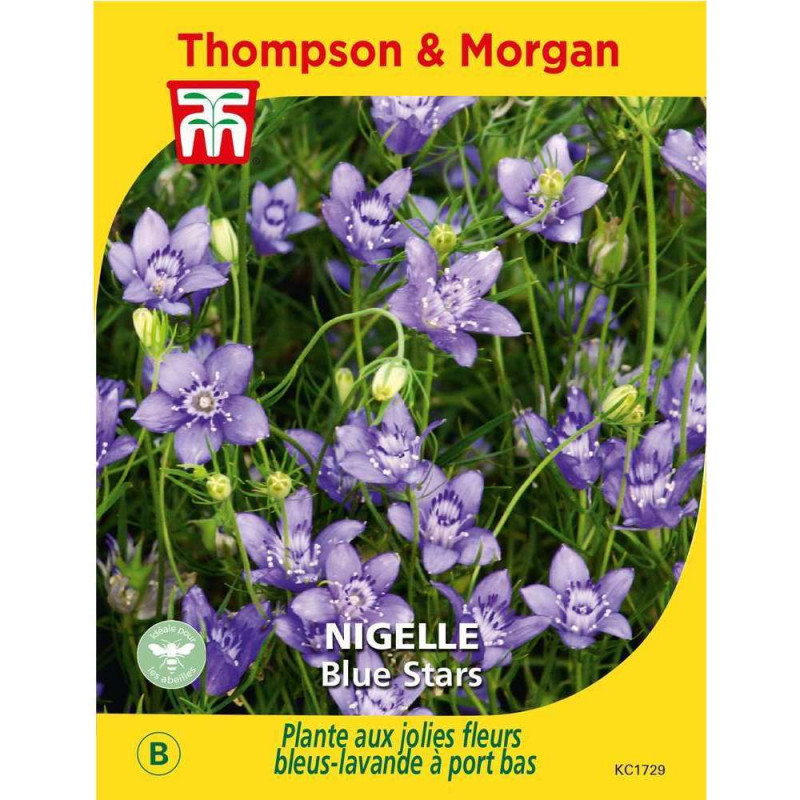 Graines de Nigelle Blue Stars